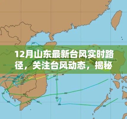 山東最新臺風(fēng)實(shí)時(shí)路徑，揭秘臺風(fēng)動態(tài)及影響分析