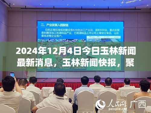 2024年12月4日玉林新聞速遞，聚焦新篇章，解讀最新動(dòng)態(tài)