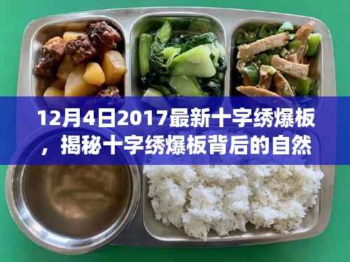 揭秘十字繡爆板背后的自然之旅，一場心靈之旅的啟程