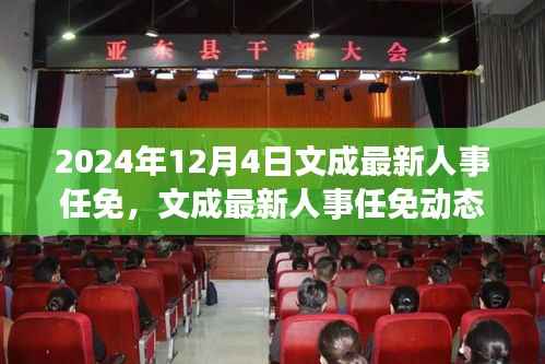 文成縣人事任免動態(tài)，深度解讀與多維分析（最新更新）