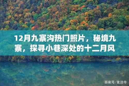 秘境九寨，探尋小巷深處的十二月風(fēng)光攝影之旅，熱門照片欣賞