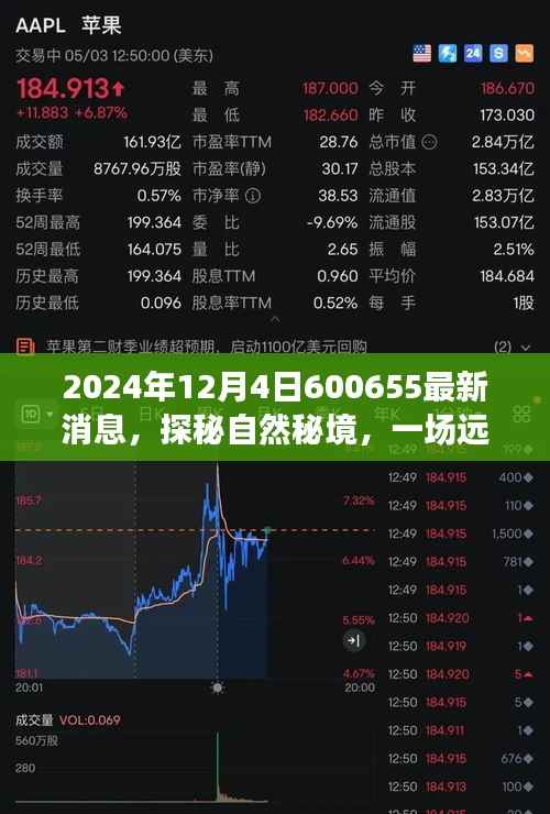 探秘自然秘境，未來好消息與美景分享——來自2024年12月4日的最新消息