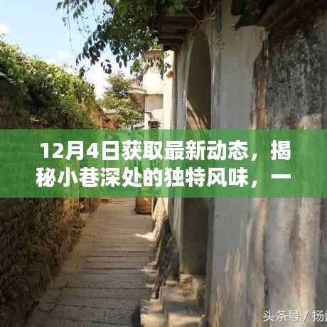 揭秘日常喧囂中的隱藏美味，小巷深處的特色小店新發(fā)現(xiàn)報(bào)道