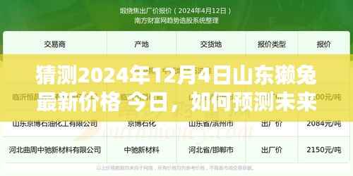 山東獺兔最新價(jià)格預(yù)測指南，如何估算未來價(jià)格（以山東獺兔為例）猜測步驟詳解及未來趨勢分析（2024年12月4日）