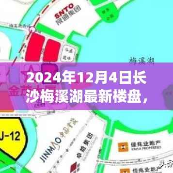 揭秘長沙梅溪湖最新樓盤與小巷特色小店，探尋不一樣的風(fēng)情韻味