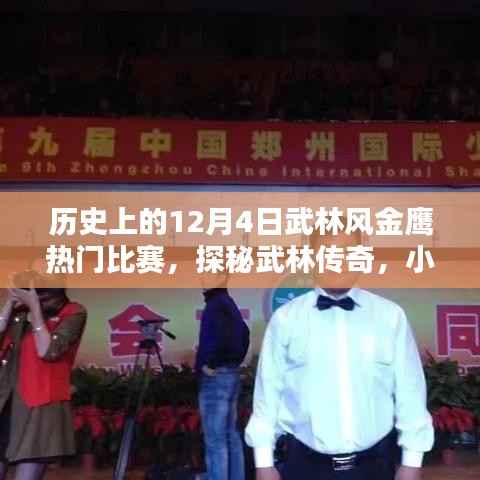 武林風(fēng)金鷹熱門比賽日，熱血對決與小巷深處的武林傳奇探秘