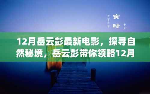 岳云彭帶你探尋自然秘境，最新電影寧靜之旅揭秘十二月精彩看點