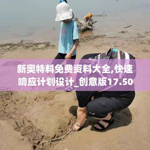 新奧特料免費資料大全,快速響應(yīng)計劃設(shè)計_創(chuàng)意版17.505