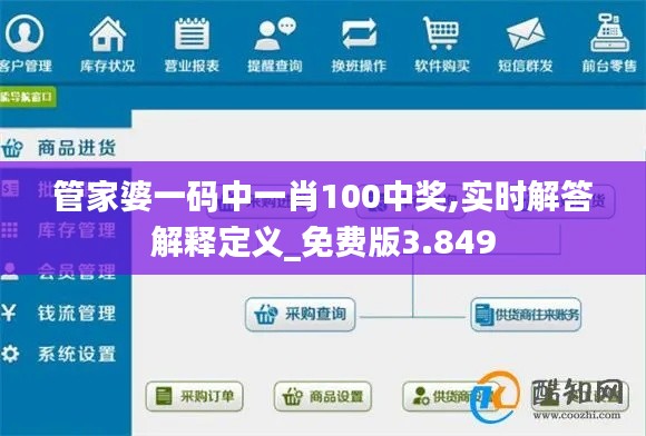 管家婆一碼中一肖100中獎,實時解答解釋定義_免費版3.849