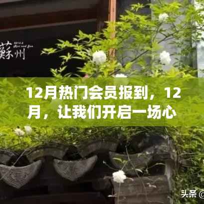 12月熱門會(huì)員心靈之旅，尋找內(nèi)心的桃花源