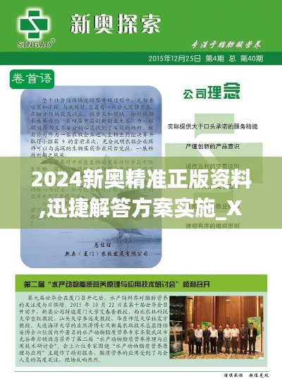 2024新奧精準正版資料,迅捷解答方案實施_XP110.268