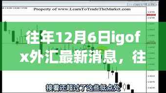 往年12月6日IGOFX外匯最新消息深度解析，洞悉全球金融市場動態(tài)（小紅書版）