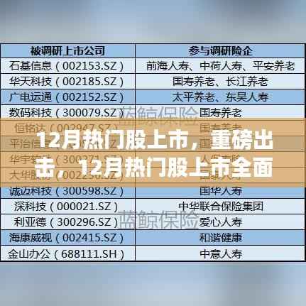 重磅出擊！12月熱門股上市全面評測與解析！
