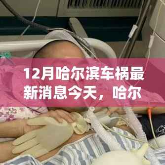 哈爾濱車禍背后的故事與隱秘小巷美食奇遇，今日最新消息揭秘特色小店的獨特魅力