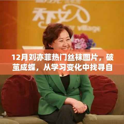 劉亦菲的蛻變之路，從學(xué)習(xí)變化中找尋自信與成就感的絲襪故事，12月熱門圖片展現(xiàn)破繭成蝶之美