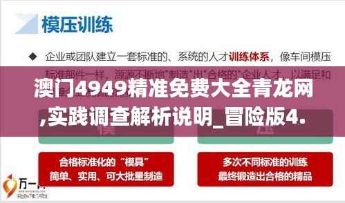 澳門4949精準(zhǔn)免費(fèi)大全青龍網(wǎng),實(shí)踐調(diào)查解析說明_冒險版4.444