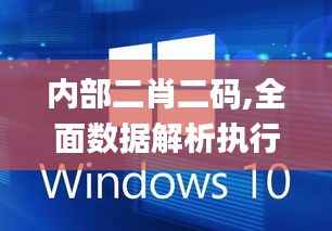 內部二肖二碼,全面數(shù)據(jù)解析執(zhí)行_Windows14.371