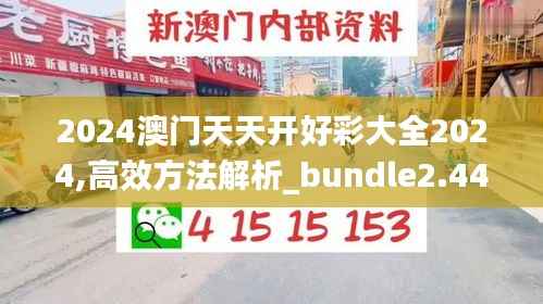 2024澳門天天開好彩大全2024,高效方法解析_bundle2.442