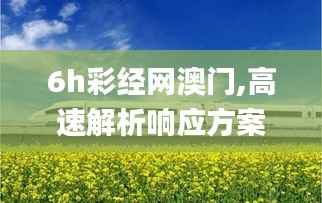 6h彩經(jīng)網(wǎng)澳門(mén),高速解析響應(yīng)方案_XP12.387