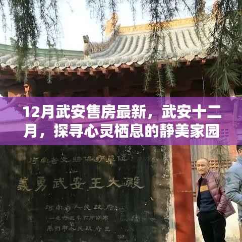 武安十二月最新房源解析，探尋靜美家園的心靈棲息地