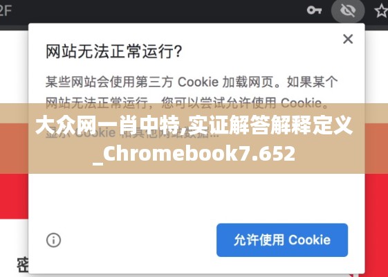 大眾網(wǎng)一肖中特,實證解答解釋定義_Chromebook7.652