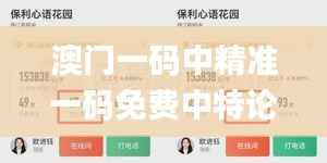 澳門一碼中精準一碼免費中特論壇,實地分析數據計劃_7DM6.188