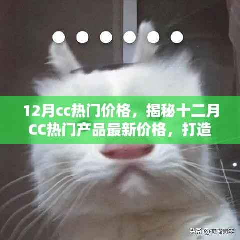 小紅書獨家解析，揭秘十二月CC熱門美妝產(chǎn)品最新價格，引領(lǐng)美妝新風(fēng)尚