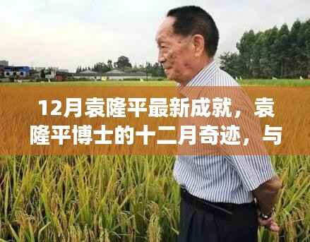 袁隆平博士十二月奇跡，自然美景中的內(nèi)心平和之旅