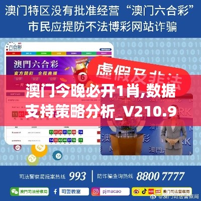 澳門今晚必開1肖,數(shù)據(jù)支持策略分析_V210.968