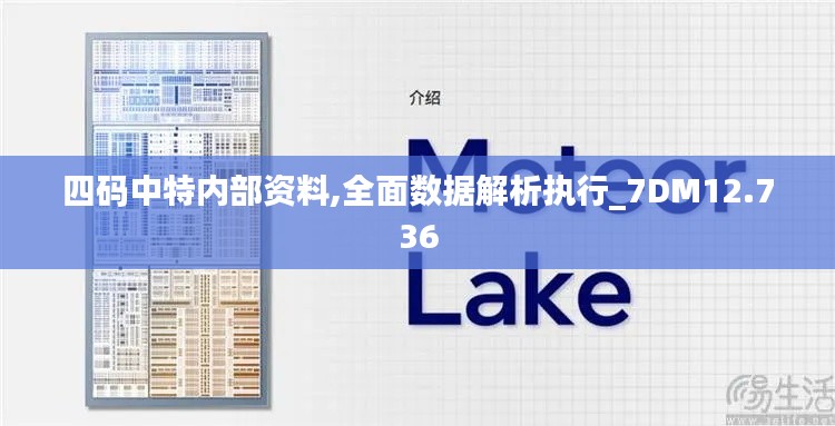 四碼中特內(nèi)部資料,全面數(shù)據(jù)解析執(zhí)行_7DM12.736