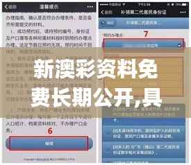 新澳彩資料免費長期公開,具體操作步驟指導_尊享版4.138