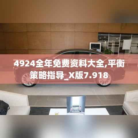 4924全年免費資料大全,平衡策略指導_X版7.918