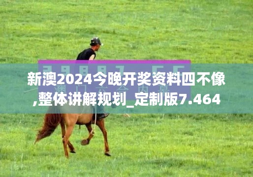 新澳2024今晚開獎資料四不像,整體講解規(guī)劃_定制版7.464