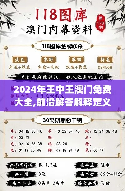 2024年王中王澳門免費(fèi)大全,前沿解答解釋定義_模擬版7.627