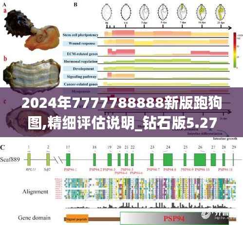 2024年7777788888新版跑狗圖,精細評估說明_鉆石版5.279