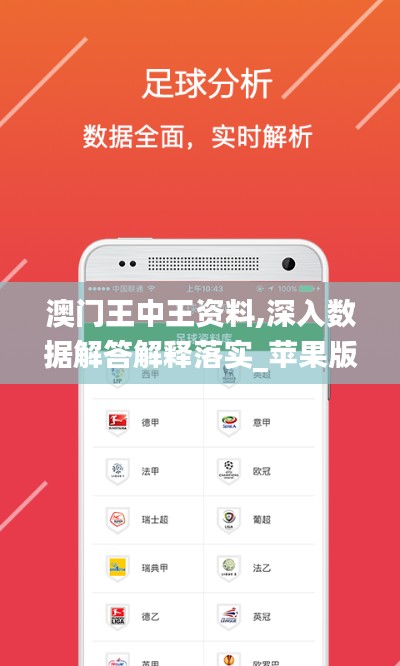 澳門王中王資料,深入數(shù)據(jù)解答解釋落實(shí)_蘋果版2.311