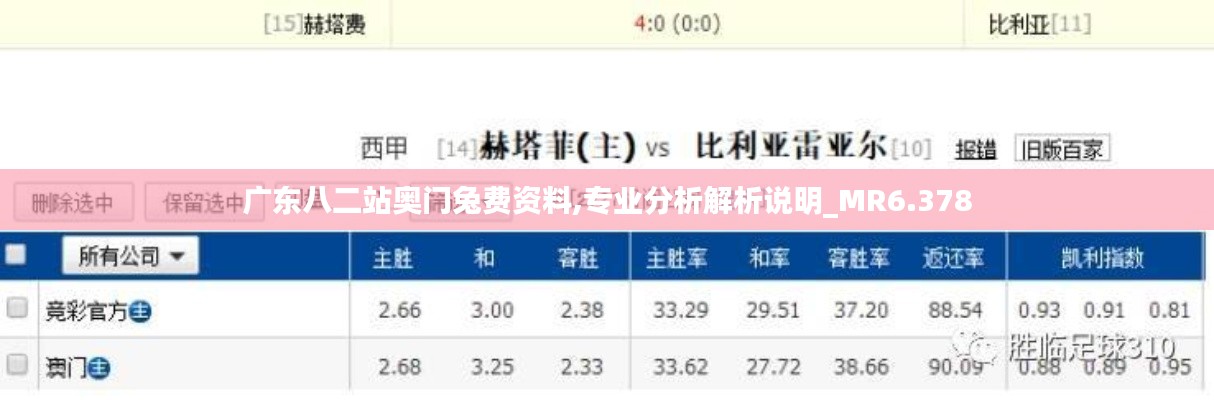 廣東八二站奧門兔費資料,專業(yè)分析解析說明_MR6.378