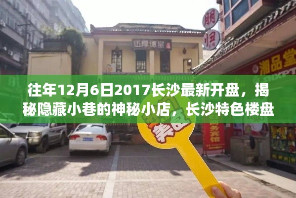 揭秘長沙神秘小店的獨特風味體驗，最新樓盤開盤盛況回顧