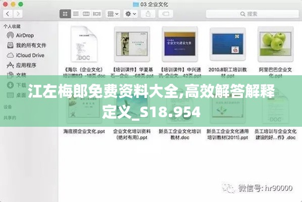 江左梅郎免費資料大全,高效解答解釋定義_S18.954