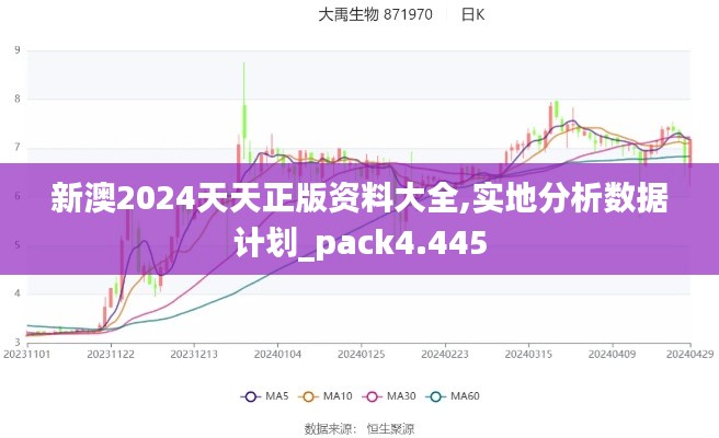 新澳2024天天正版資料大全,實(shí)地分析數(shù)據(jù)計(jì)劃_pack4.445