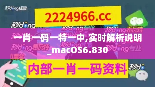 一肖一碼一特一中,實(shí)時(shí)解析說(shuō)明_macOS6.830