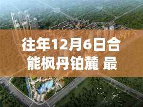 合能楓丹鉑麓十二月六日最新動(dòng)態(tài)揭秘與影響概述