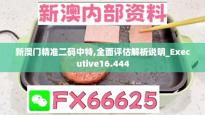 新澳門精準(zhǔn)二碼中特,全面評估解析說明_Executive16.444