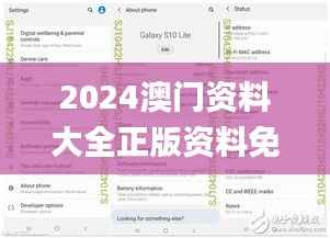 2024澳門資料大全正版資料免費,實地驗證設計方案_4DM18.706