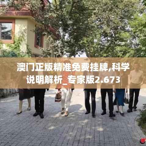 澳門正版精準免費掛牌,科學(xué)說明解析_專家版2.673