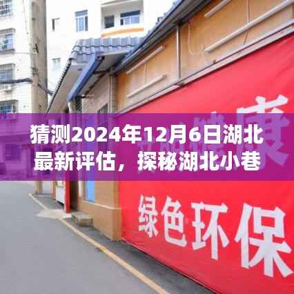 探秘湖北小巷深處的獨特風味，一家特色小店未來猜想與評估展望（2024年12月6日）