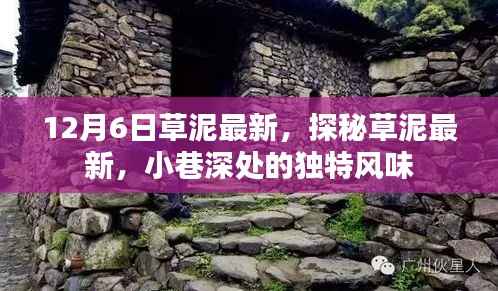 草泥最新探秘，小巷深處的獨(dú)特風(fēng)味