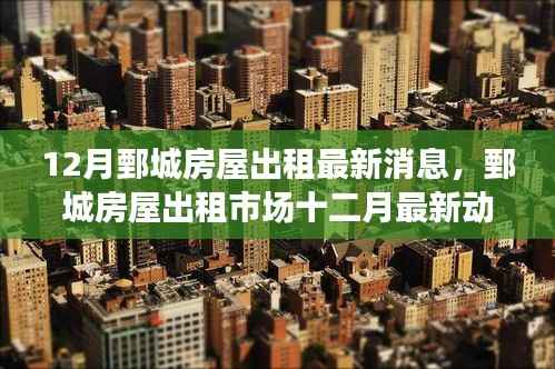 探尋鄄城房屋出租市場十二月最新動態(tài)背后的故事與影響