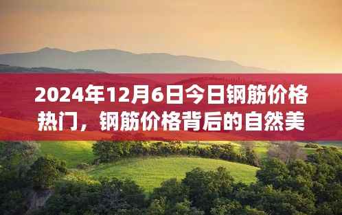 鋼筋價(jià)格背后的自然美景探索之旅，心靈洗禮與寧?kù)o之旅啟程