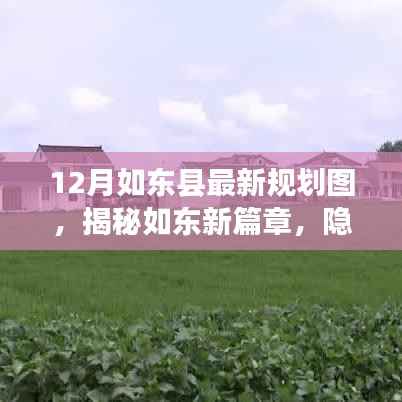 揭秘如東新篇章，巷子深處的獨(dú)特小店與最新規(guī)劃圖曝光